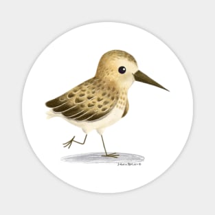 Sandpiper Bird Magnet